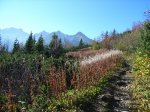 Belianske Tatry